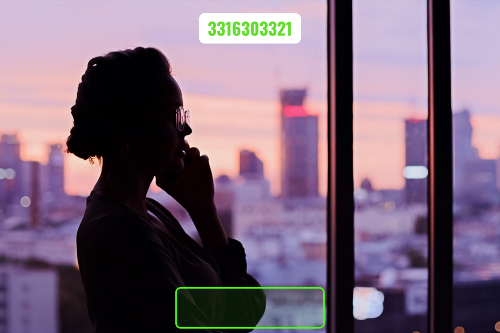 3316303321